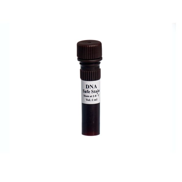 رنگ ایمن DNA Safe Stain