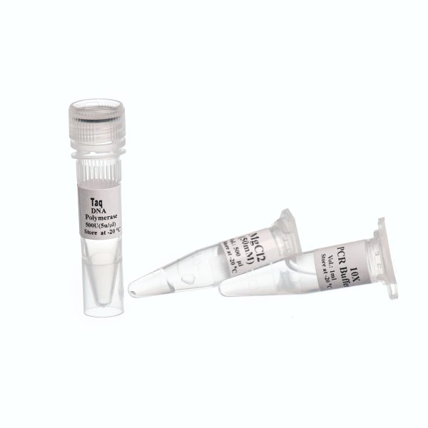 آنزیم Taq DNA Polymerase شرکت سیناکلون