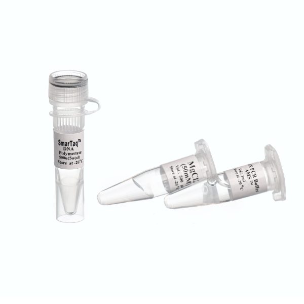 آنزیم smarTaq DNA Polymerase سیناکلون